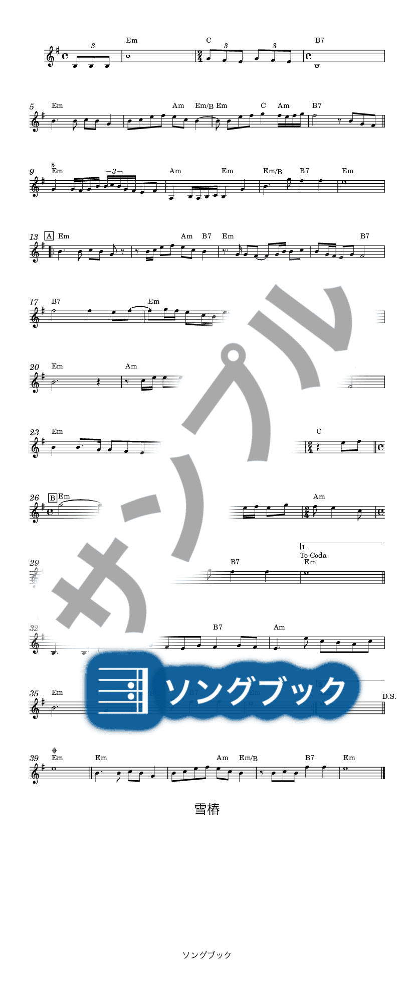 歌詞 雪 椿